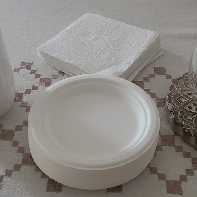 P011 Plaque biodégradable de 7 pouces