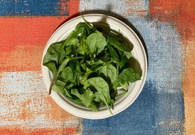 Assiettes biodégradables rondes P008